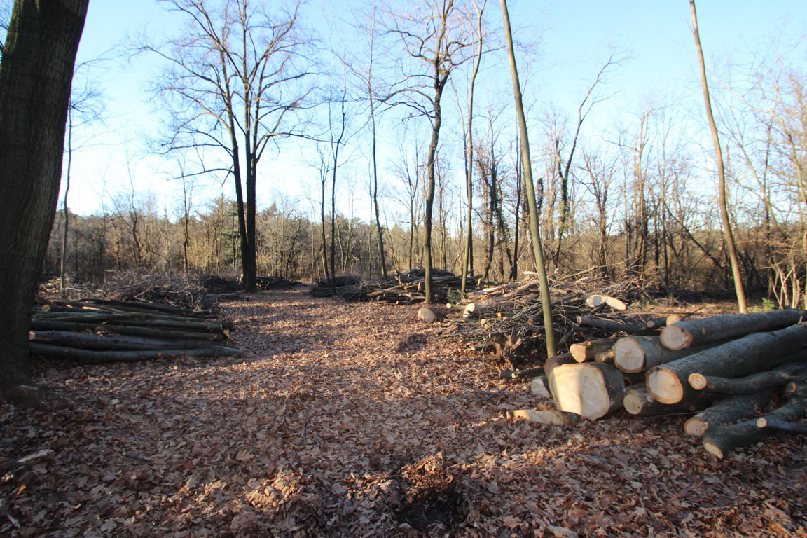 BANDO D’ASTA PUBBLICA PROCEDURA APERTA